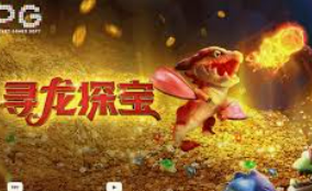 黄金网站app免费正式版